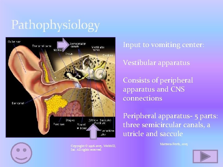 Pathophysiology Input to vomiting center: Vestibular apparatus Consists of peripheral apparatus and CNS connections