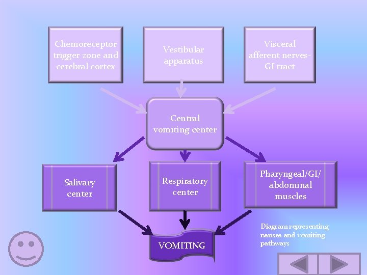 Chemoreceptor trigger zone and cerebral cortex Vestibular apparatus Visceral afferent nerves. GI tract Central