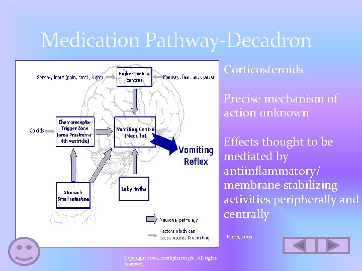 Medication Pathway-Decadron Corticosteroids Precise mechanism of action unknown Effects thought to be mediated by