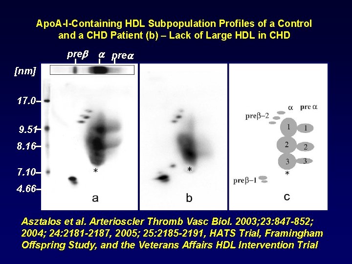 Apo. A-I-Containing HDL Subpopulation Profiles of a Control and a CHD Patient (b) –