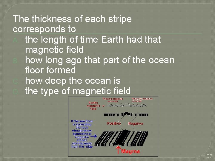 The thickness of each stripe corresponds to A. the length of time Earth had