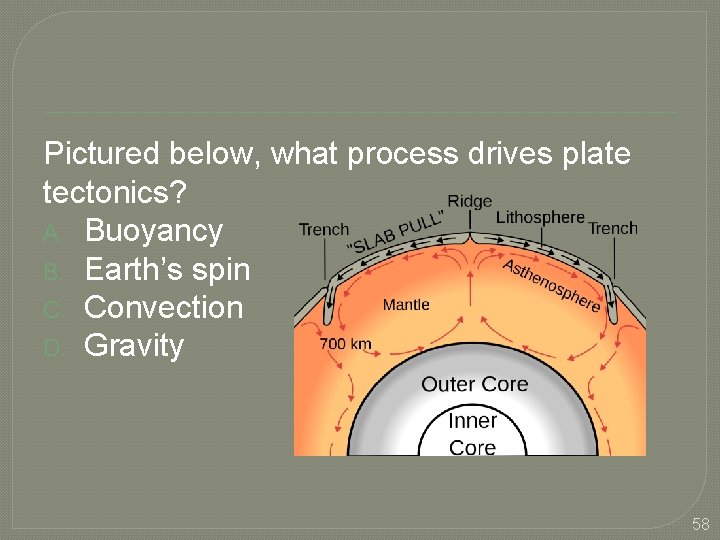 Pictured below, what process drives plate tectonics? A. Buoyancy B. Earth’s spin C. Convection