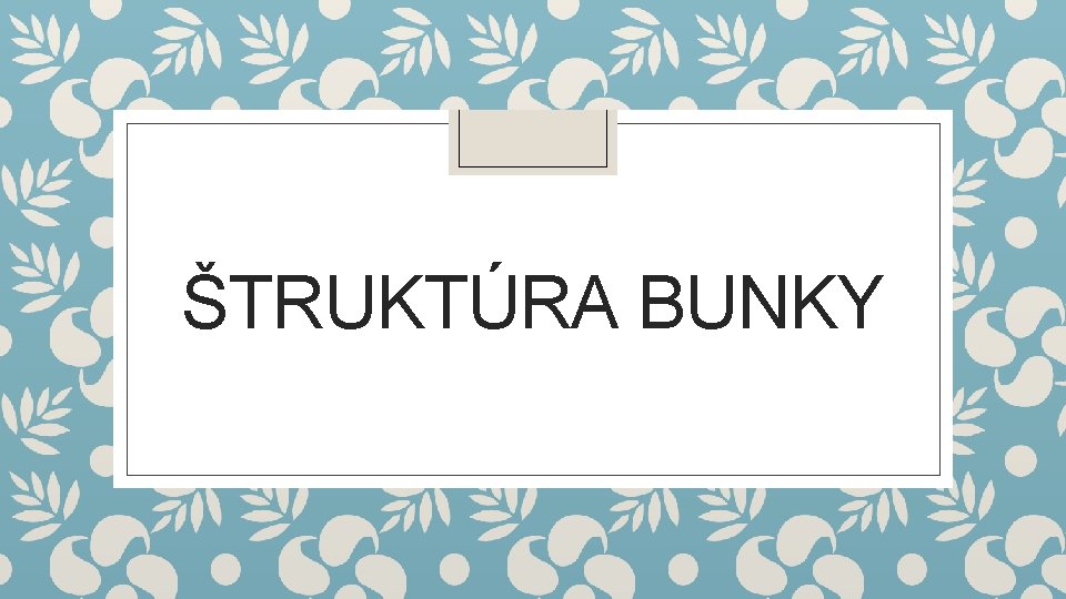 ŠTRUKTÚRA BUNKY 