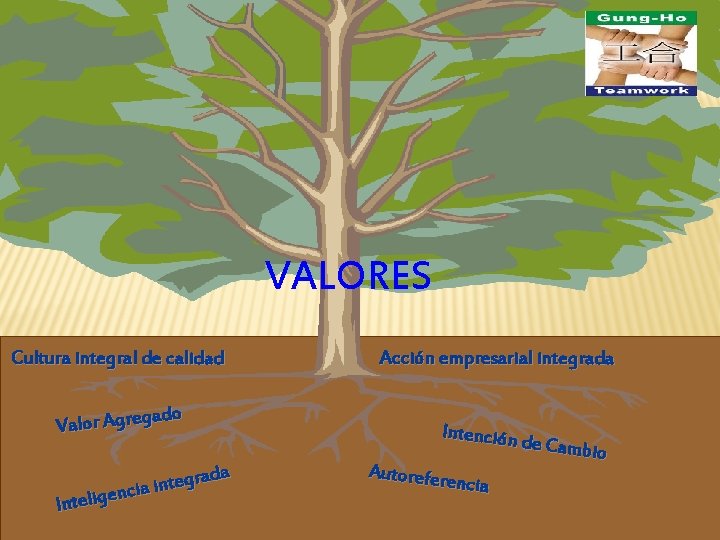 VALORES Cultura integral de calidad ado g e r g A r o l