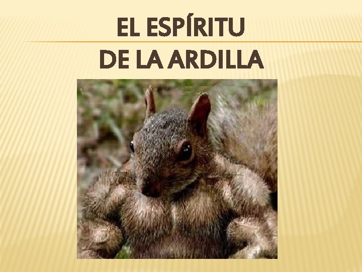 EL ESPÍRITU DE LA ARDILLA 