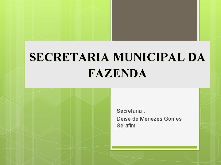 SECRETARIA MUNICIPAL DA FAZENDA Secretária : Deise de Menezes Gomes Serafim 