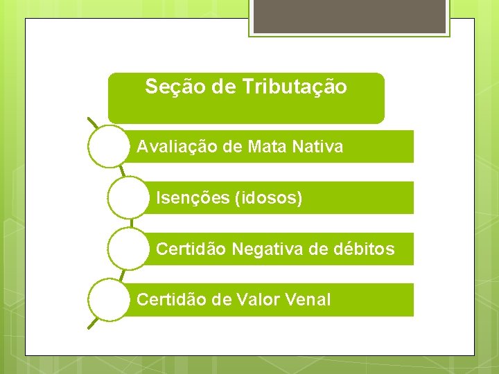 Seção de Tributação Avaliação de Mata Nativa Isenções (idosos) Certidão Negativa de débitos Certidão