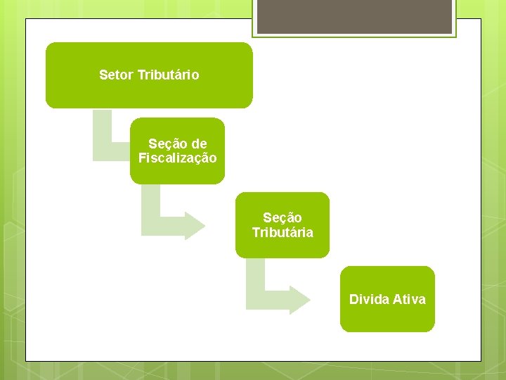 Setor Tributário Seção de Fiscalização Seção Tributária Divida Ativa 