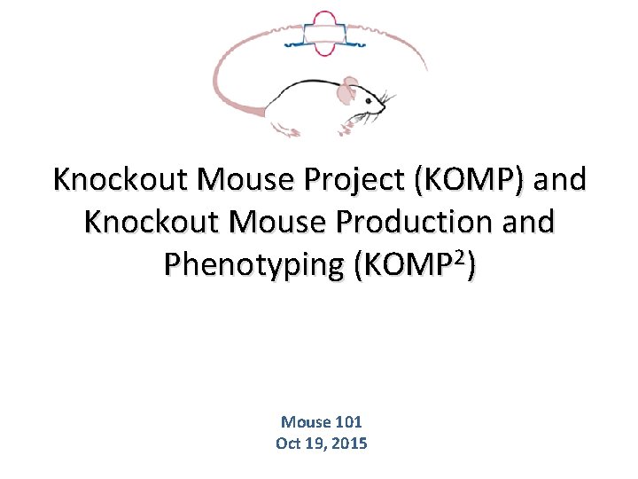 Knockout Mouse Project (KOMP) and Knockout Mouse Production and Phenotyping (KOMP 2) Mouse 101