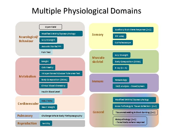 Multiple Physiological Domains Open Field Neurological/ Behaviour Modified SHIRPA/Dysmorphology Auditory Brain Stem Response (2+2)
