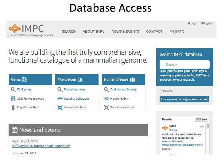 Database Access 