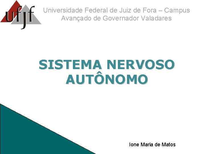 Universidade Federal de Juiz de Fora – Campus Avançado de Governador Valadares SISTEMA NERVOSO