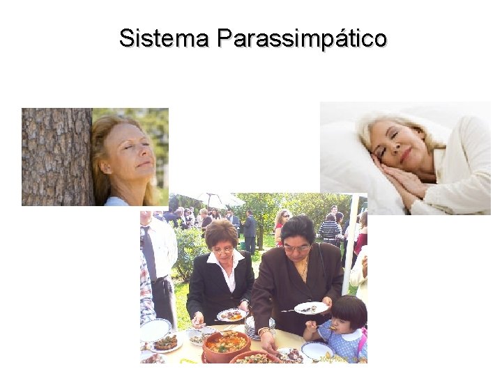Sistema Parassimpático 