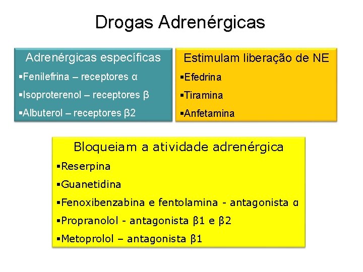 Drogas Adrenérgicas específicas Estimulam liberação de NE §Fenilefrina – receptores α §Efedrina §Isoproterenol –