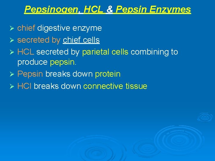 Pepsinogen, HCL & Pepsin Enzymes chief digestive enzyme Ø secreted by chief cells Ø