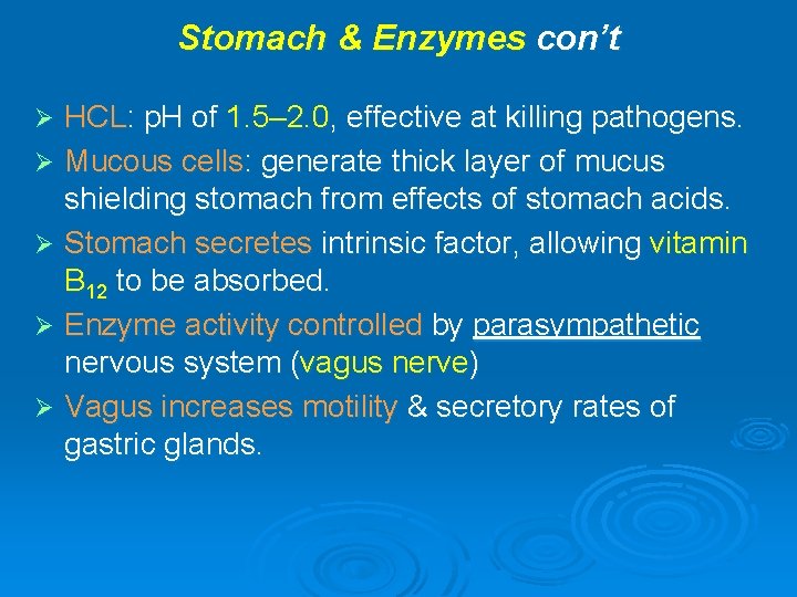 Stomach & Enzymes con’t HCL: p. H of 1. 5– 2. 0, effective at