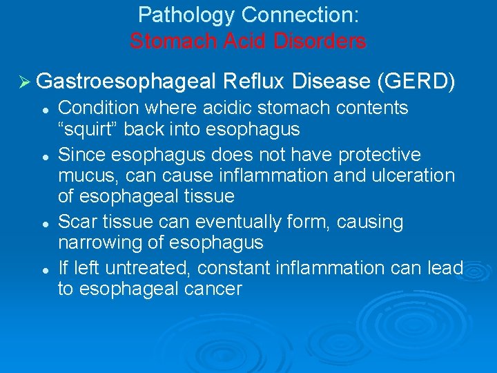 Pathology Connection: Stomach Acid Disorders Ø Gastroesophageal Reflux Disease (GERD) l l Condition where