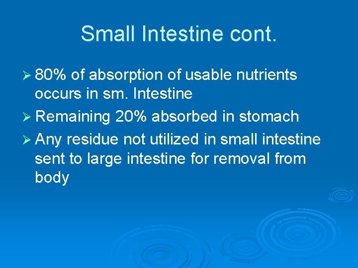 Small Intestine cont. Ø 80% of absorption of usable nutrients occurs in sm. Intestine