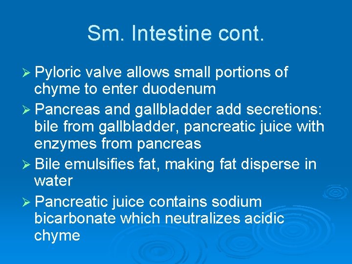 Sm. Intestine cont. Ø Pyloric valve allows small portions of chyme to enter duodenum