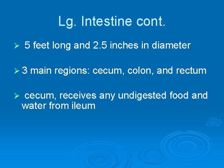 Lg. Intestine cont. Ø 5 feet long and 2. 5 inches in diameter Ø