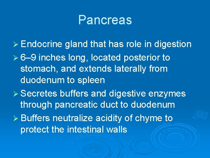 Pancreas Ø Endocrine gland that has role in digestion Ø 6– 9 inches long,