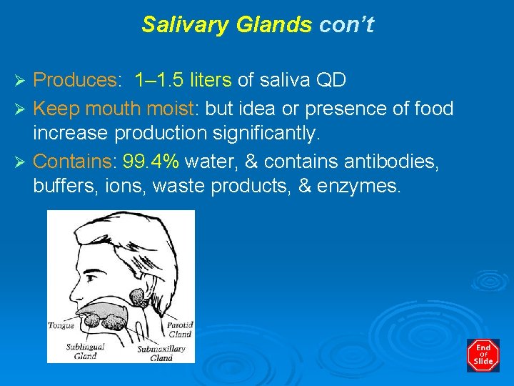 Salivary Glands con’t Produces: 1– 1. 5 liters of saliva QD Ø Keep mouth