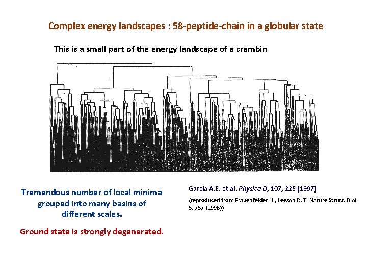 Complex energy landscapes : 58 -peptide-chain in a globular state This is a small