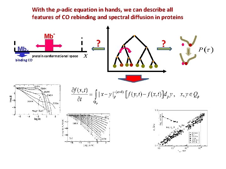 With the p-adic equation in hands, we can describe all features of CO rebinding