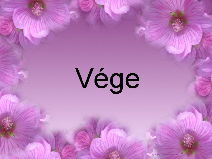 Vége 