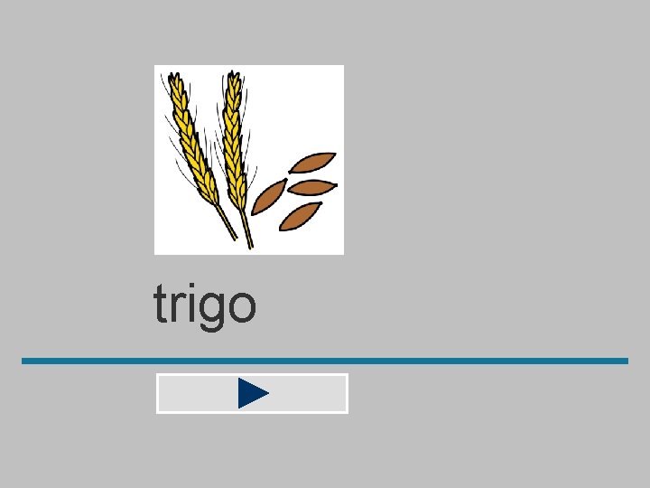 trigo 