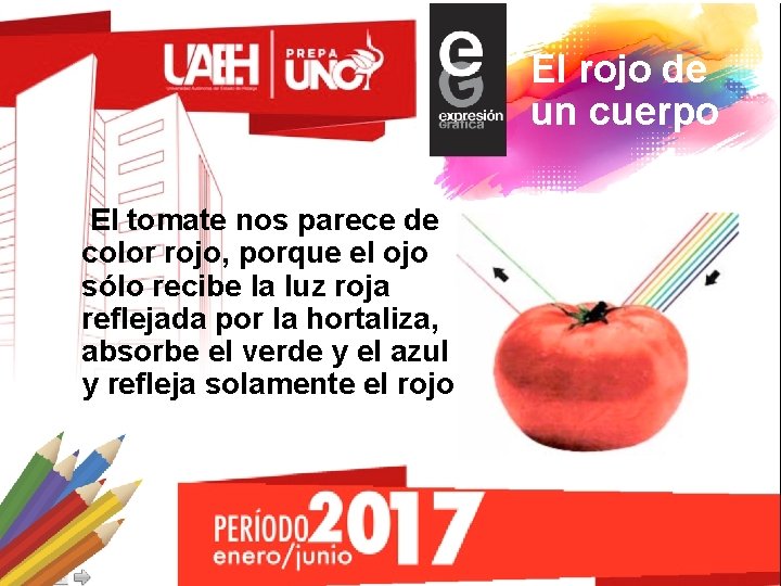 El rojo de un cuerpo El tomate nos parece de color rojo, porque el