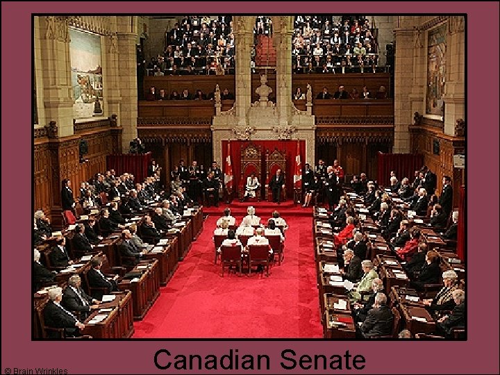 © Brain Wrinkles Canadian Senate 
