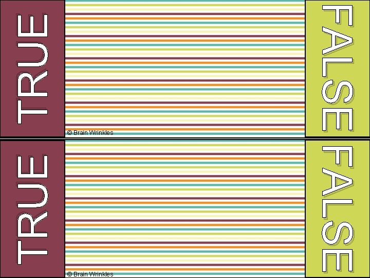 © Brain Wrinkles TRUE FALSE © Brain Wrinkles 
