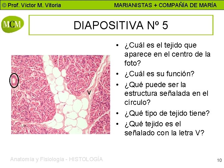 © Prof. Víctor M. Vitoria MARIANISTAS + COMPAÑÍA DE MARÍA DIAPOSITIVA Nº 5 V