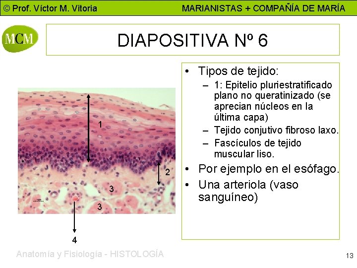 © Prof. Víctor M. Vitoria MARIANISTAS + COMPAÑÍA DE MARÍA DIAPOSITIVA Nº 6 •