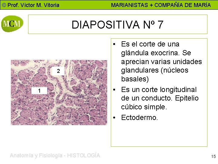 © Prof. Víctor M. Vitoria MARIANISTAS + COMPAÑÍA DE MARÍA DIAPOSITIVA Nº 7 2