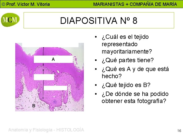 © Prof. Víctor M. Vitoria MARIANISTAS + COMPAÑÍA DE MARÍA DIAPOSITIVA Nº 8 A