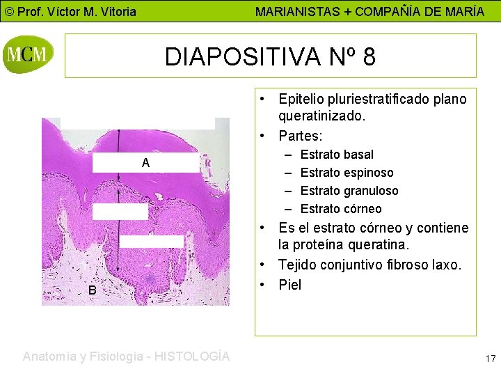 © Prof. Víctor M. Vitoria MARIANISTAS + COMPAÑÍA DE MARÍA DIAPOSITIVA Nº 8 •