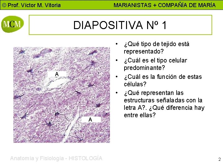 © Prof. Víctor M. Vitoria MARIANISTAS + COMPAÑÍA DE MARÍA DIAPOSITIVA Nº 1 A