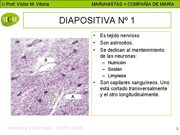© Prof. Víctor M. Vitoria MARIANISTAS + COMPAÑÍA DE MARÍA DIAPOSITIVA Nº 1 •