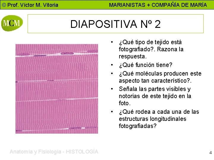 © Prof. Víctor M. Vitoria MARIANISTAS + COMPAÑÍA DE MARÍA DIAPOSITIVA Nº 2 •