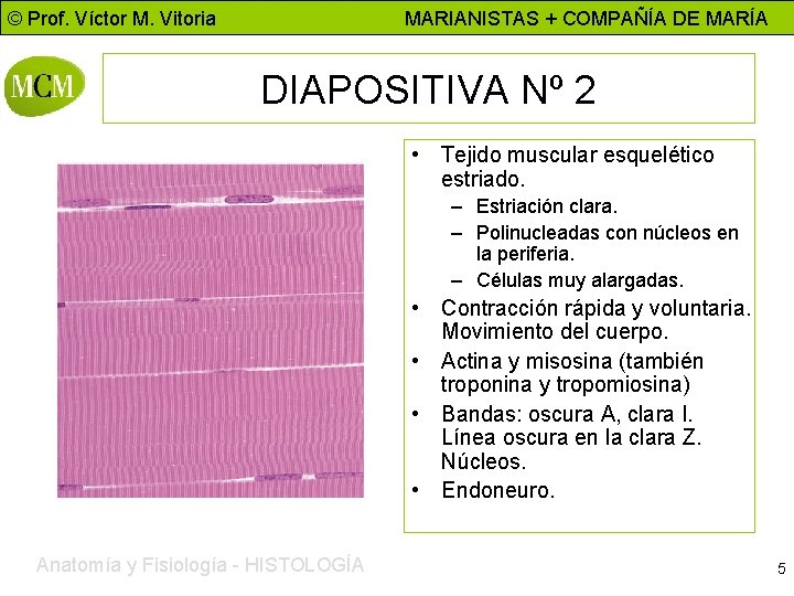 © Prof. Víctor M. Vitoria MARIANISTAS + COMPAÑÍA DE MARÍA DIAPOSITIVA Nº 2 •