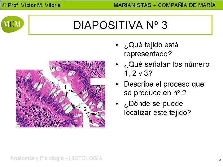 © Prof. Víctor M. Vitoria MARIANISTAS + COMPAÑÍA DE MARÍA DIAPOSITIVA Nº 3 1