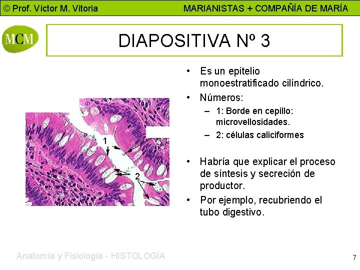 © Prof. Víctor M. Vitoria MARIANISTAS + COMPAÑÍA DE MARÍA DIAPOSITIVA Nº 3 •
