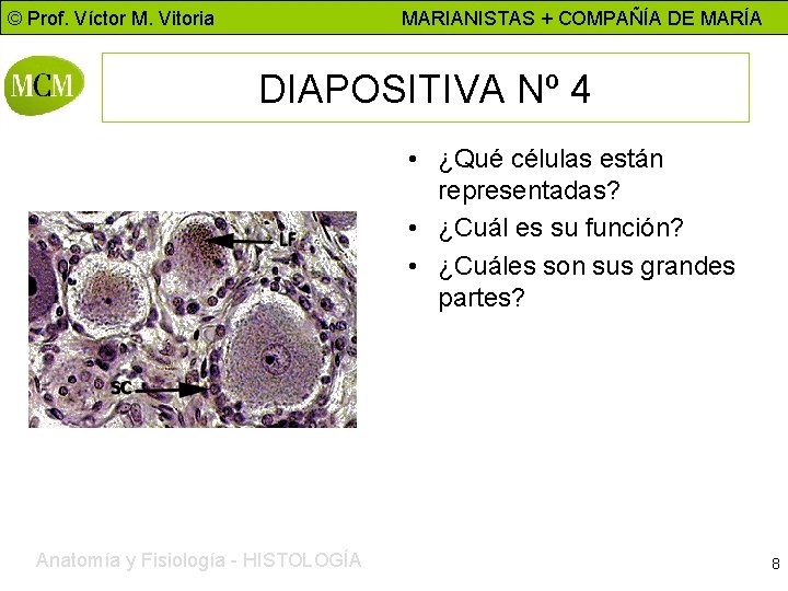 © Prof. Víctor M. Vitoria MARIANISTAS + COMPAÑÍA DE MARÍA DIAPOSITIVA Nº 4 •