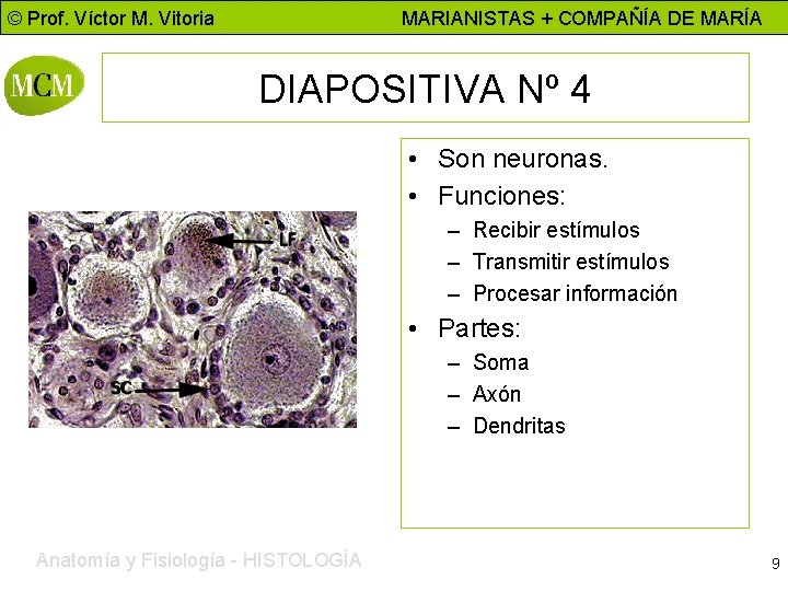 © Prof. Víctor M. Vitoria MARIANISTAS + COMPAÑÍA DE MARÍA DIAPOSITIVA Nº 4 •