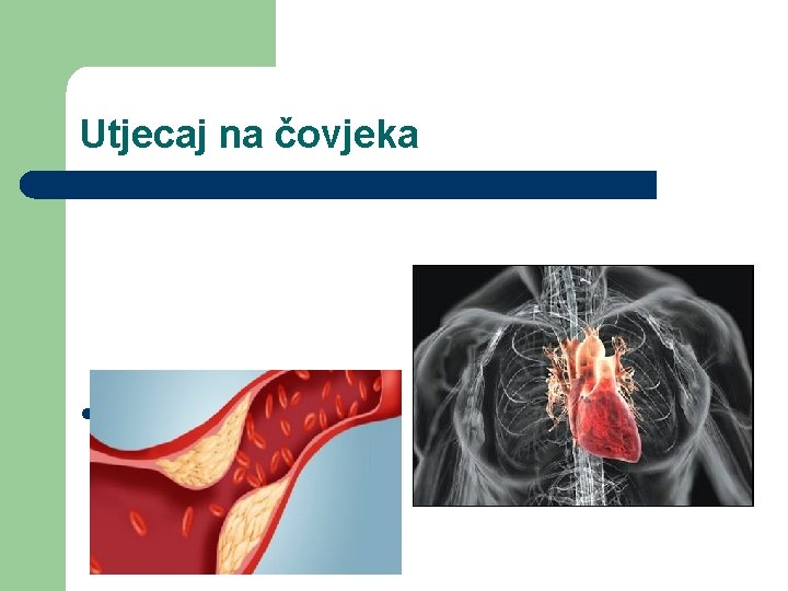 Utjecaj na čovjeka l Sumporni spojevi djeluju štetno na sluznice organa dišnog sustava, srce