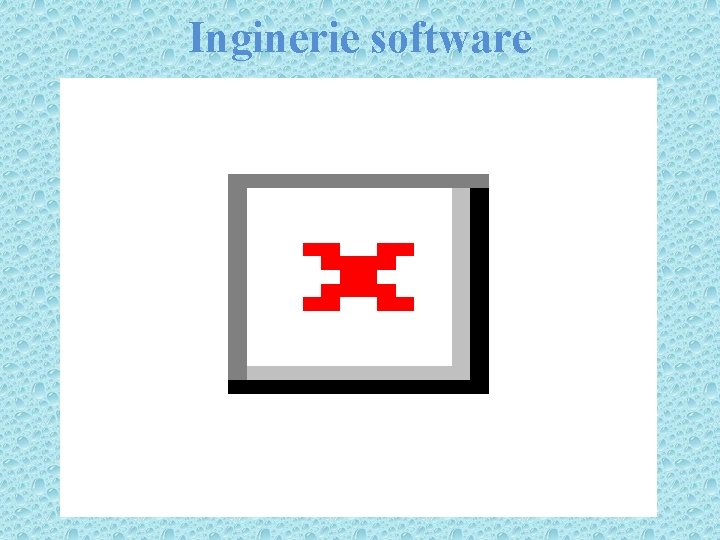 Inginerie software 