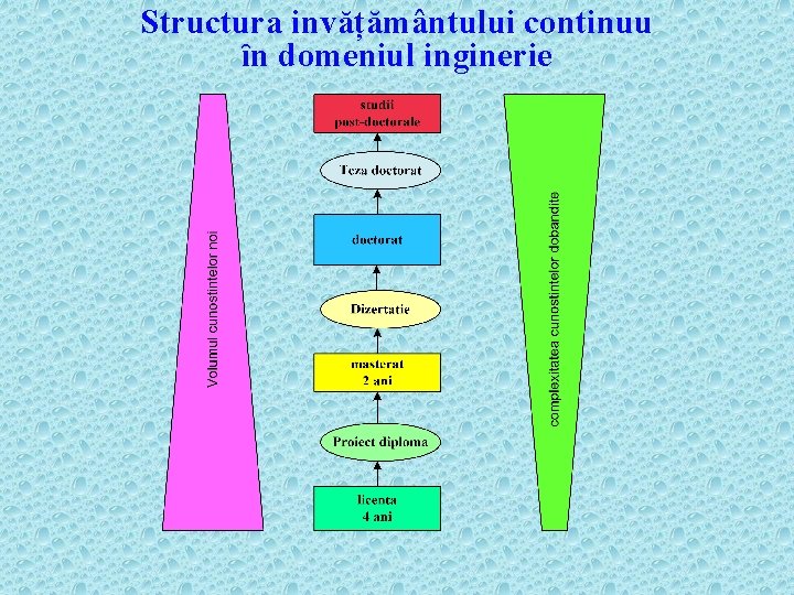 Structura invățământului continuu ȋn domeniul inginerie 