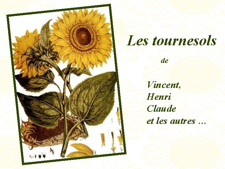 Les tournesols de Vincent, Henri Claude et les autres … 